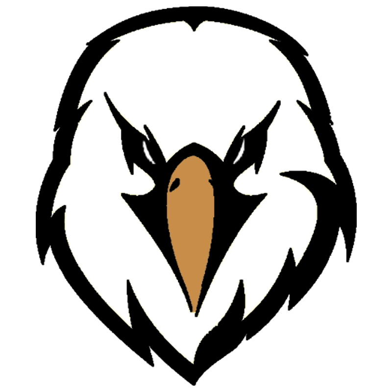 Falcon AI Club 标志